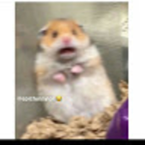 baileemeek27